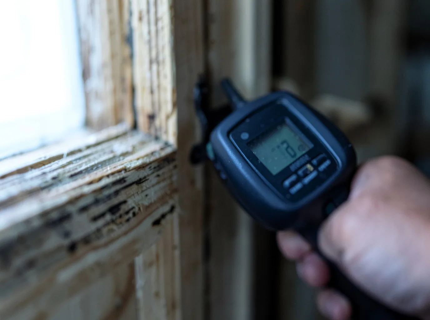 Moisture Inspection And Documentation in Bloomington Springs, TN